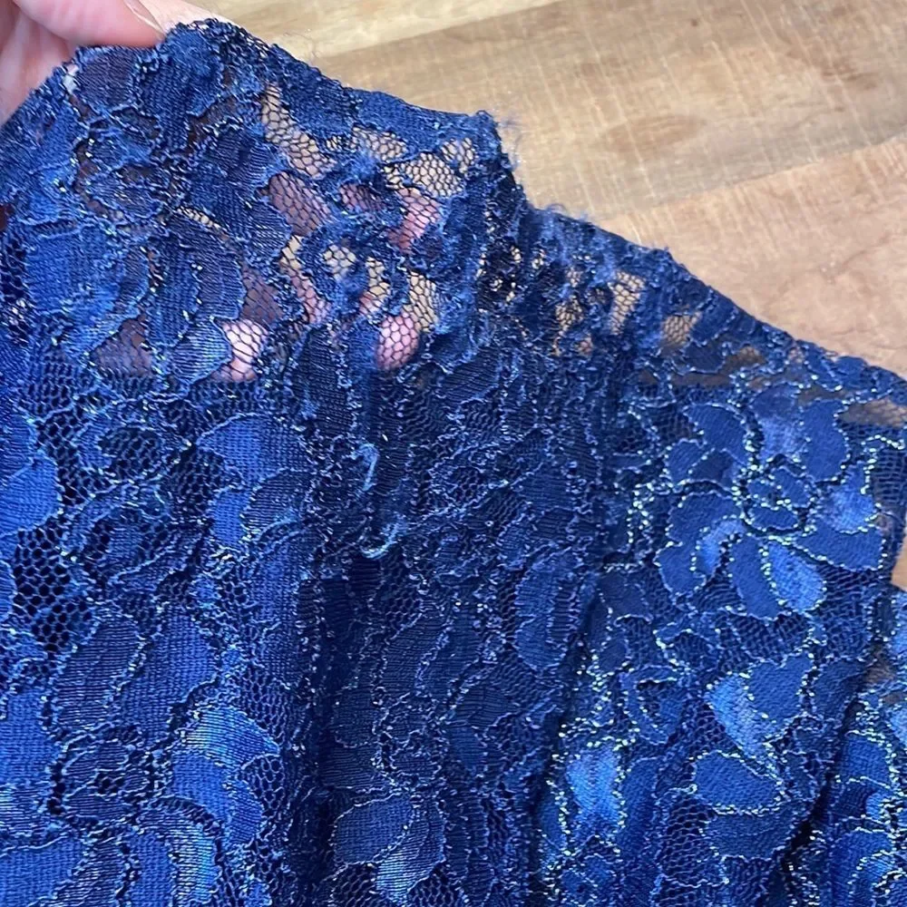 Alex Evenings Blue Lace Gown Size 12